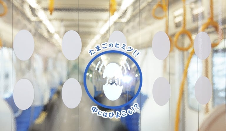たまごのヒミツ！！ 中にはヒヨコも！？