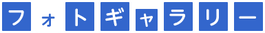 フォトギャラリー